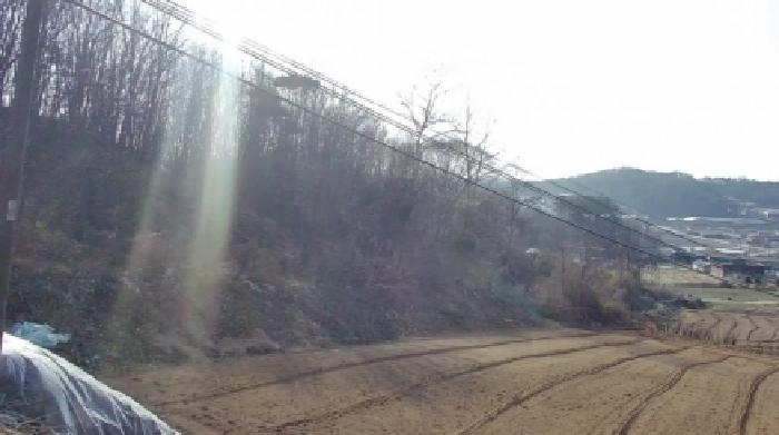세종특별자치시 부강면 산수리 216-4 외 4필지 전 경매 사진 8