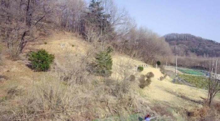 세종특별자치시 부강면 산수리 216-4 외 4필지 전 경매 사진 9