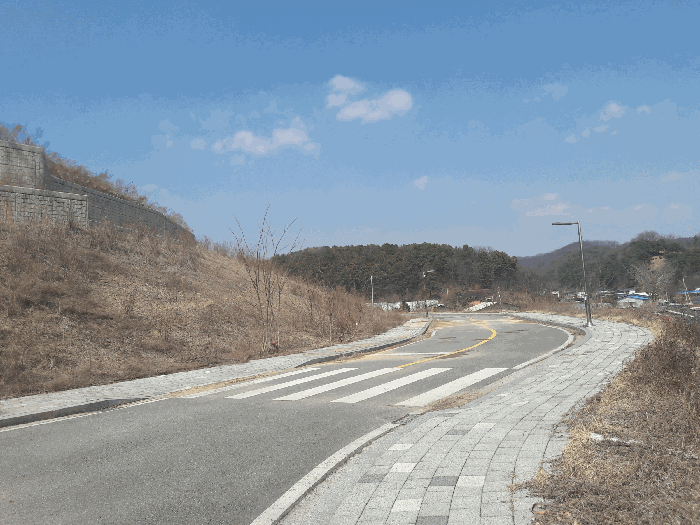 세종특별자치시 장군면 대교리 370-46 외 7필지 대지 경매 사진 19