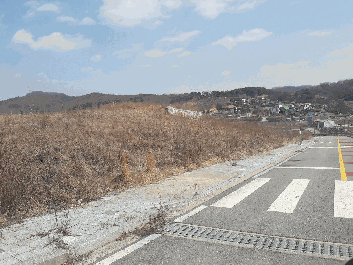 세종특별자치시 장군면 대교리 370-46 외 7필지 대지 경매 사진 22