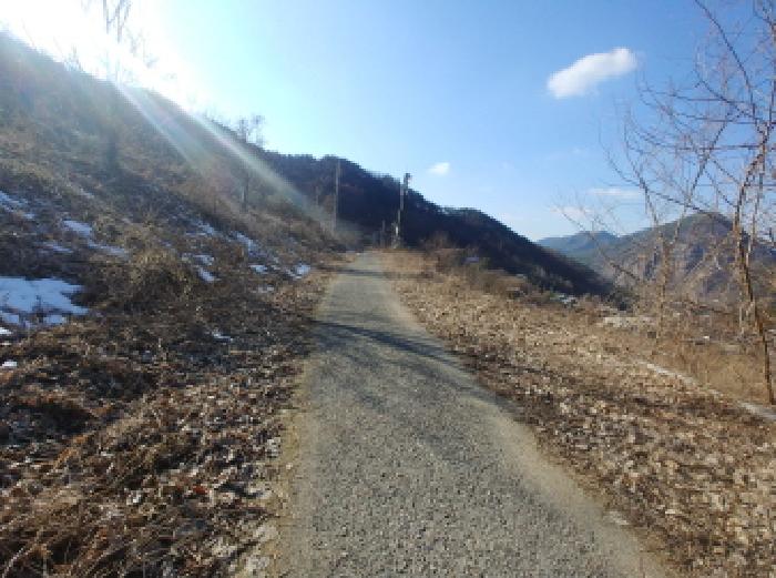 충청남도 금산군 제원면 천내리 196-38 외 12필지 임야 경매 사진 2