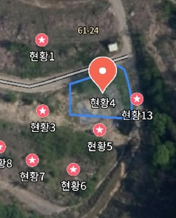 충청남도 금산군 제원면 천내리 196-38 외 12필지 임야 경매 사진 19
