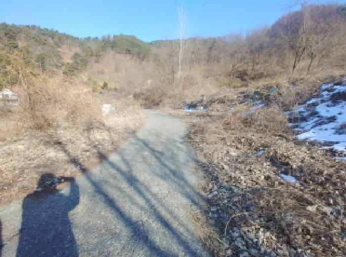 충청남도 금산군 제원면 천내리 196-38 외 12필지 임야 경매 사진 3