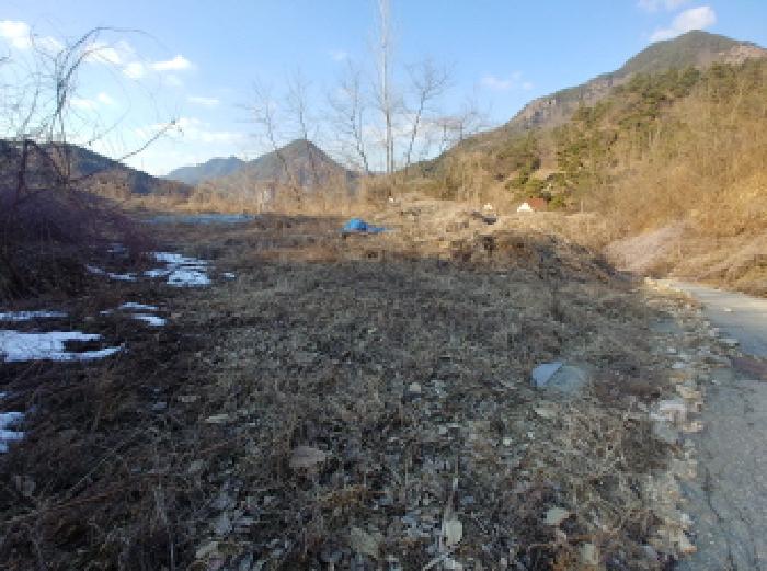 충청남도 금산군 제원면 천내리 196-38 외 12필지 임야 경매 사진 22
