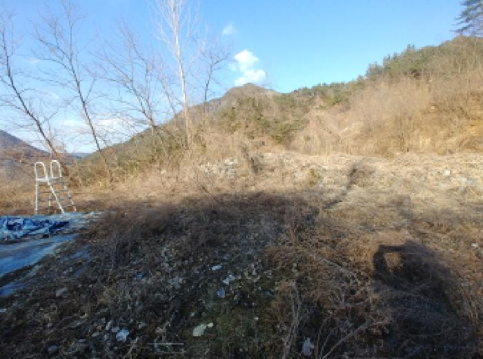 충청남도 금산군 제원면 천내리 196-38 외 12필지 임야 경매 사진 25