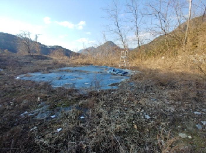 충청남도 금산군 제원면 천내리 196-38 외 12필지 임야 경매 사진 26