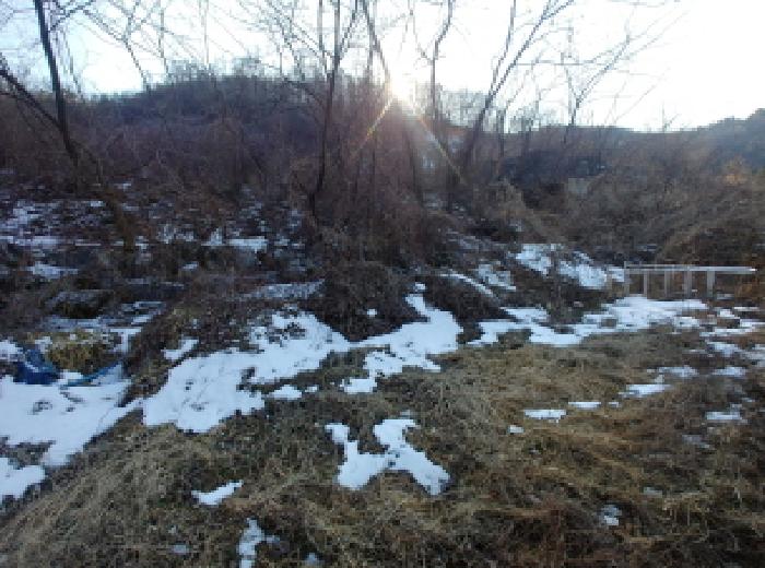 충청남도 금산군 제원면 천내리 196-38 외 12필지 임야 경매 사진 27