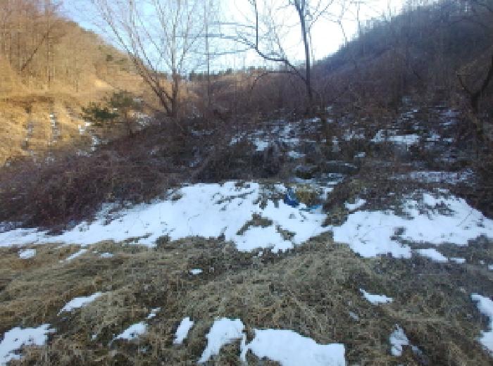 충청남도 금산군 제원면 천내리 196-38 외 12필지 임야 경매 사진 28