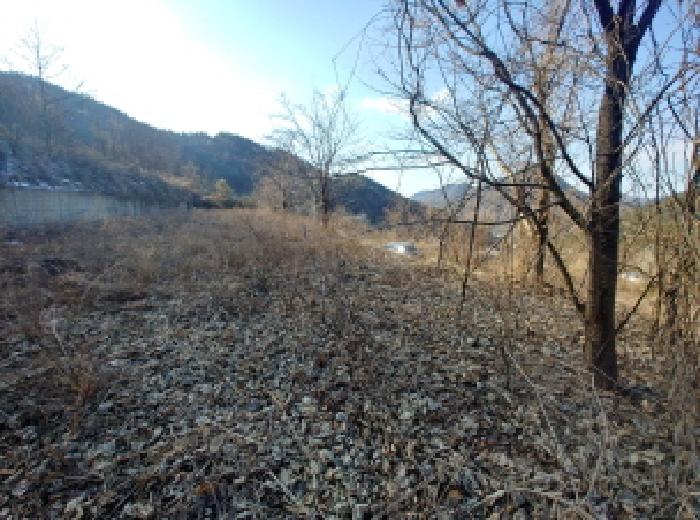 충청남도 금산군 제원면 천내리 196-38 외 12필지 임야 경매 사진 29