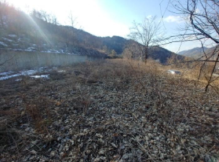 충청남도 금산군 제원면 천내리 196-38 외 12필지 임야 경매 사진 30