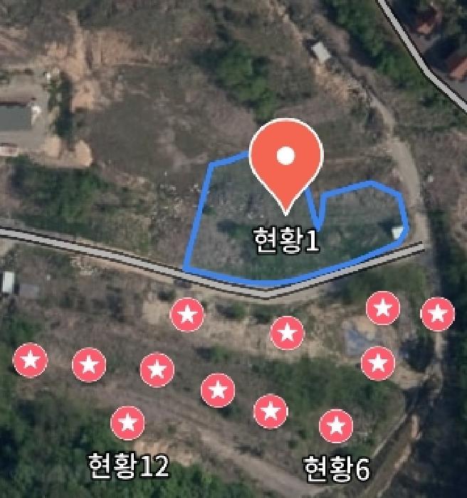 충청남도 금산군 제원면 천내리 196-38 외 12필지 임야 경매 사진 4