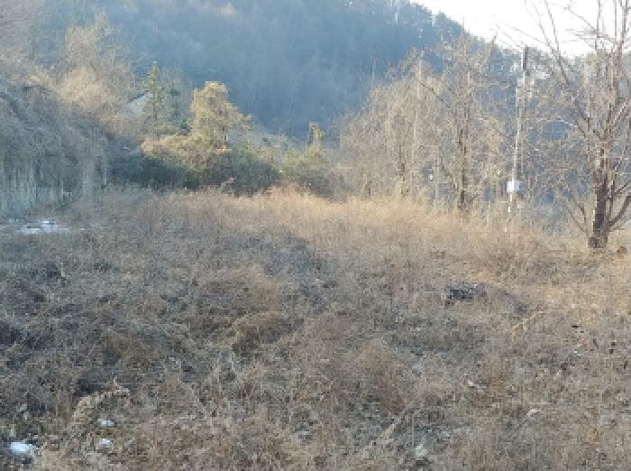 충청남도 금산군 제원면 천내리 196-38 외 12필지 임야 경매 사진 33