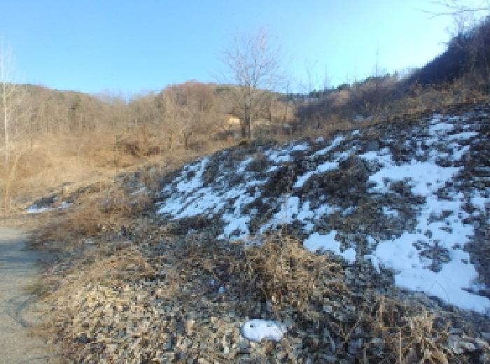 충청남도 금산군 제원면 천내리 196-38 외 12필지 임야 경매 사진 37