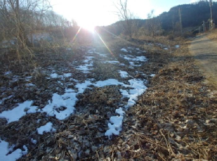 충청남도 금산군 제원면 천내리 196-38 외 12필지 임야 경매 사진 38
