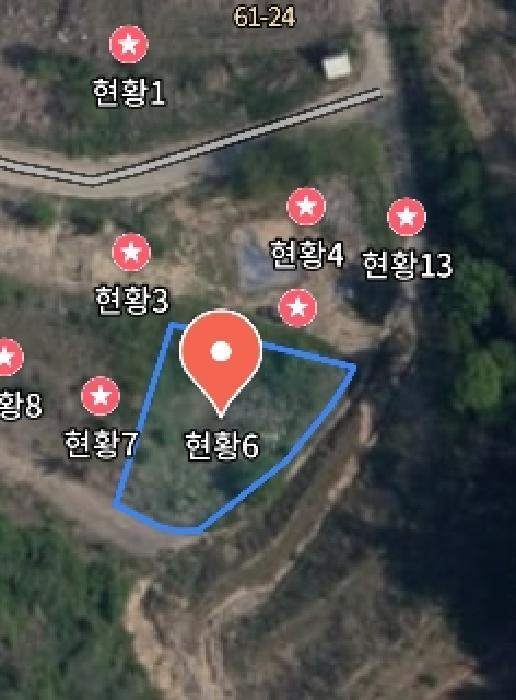 충청남도 금산군 제원면 천내리 196-38 외 12필지 임야 경매 사진 41