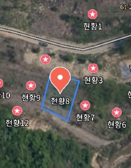 충청남도 금산군 제원면 천내리 196-38 외 12필지 임야 경매 사진 43