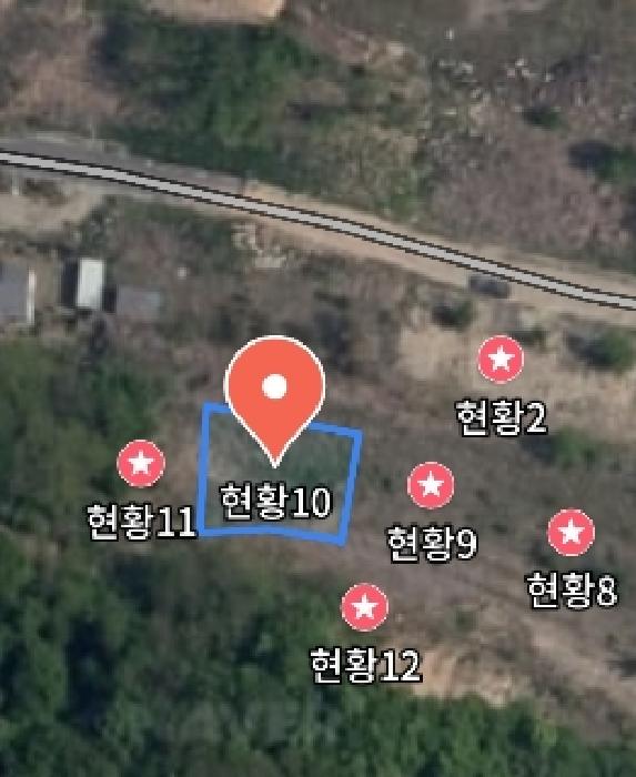 충청남도 금산군 제원면 천내리 196-38 외 12필지 임야 경매 사진 45