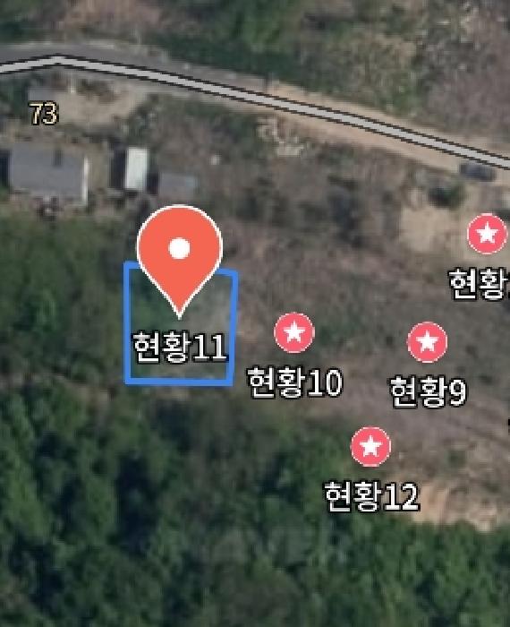 충청남도 금산군 제원면 천내리 196-38 외 12필지 임야 경매 사진 46