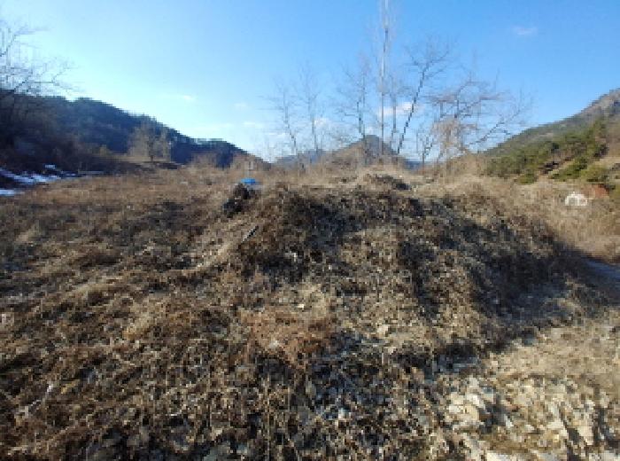 충청남도 금산군 제원면 천내리 196-38 외 12필지 임야 경매 사진 47