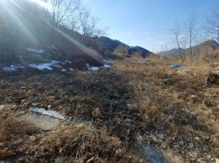 충청남도 금산군 제원면 천내리 196-38 외 12필지 임야 경매 사진 48