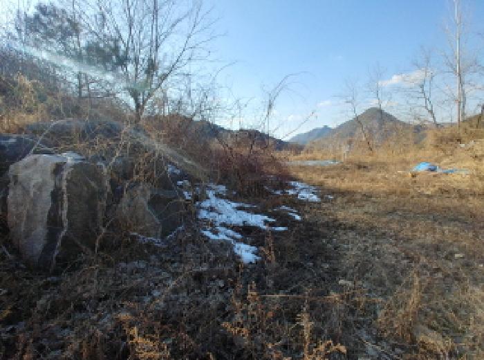 충청남도 금산군 제원면 천내리 196-38 외 12필지 임야 경매 사진 49