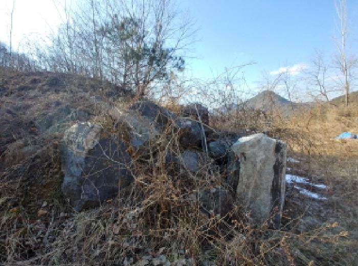 충청남도 금산군 제원면 천내리 196-38 외 12필지 임야 경매 사진 50