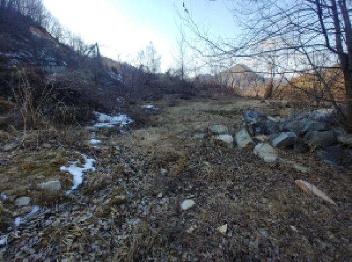 충청남도 금산군 제원면 천내리 196-38 외 12필지 임야 경매 사진 52