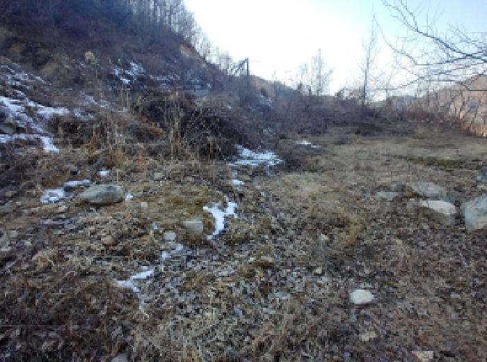 충청남도 금산군 제원면 천내리 196-38 외 12필지 임야 경매 사진 53
