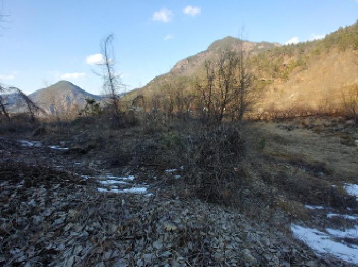 충청남도 금산군 제원면 천내리 196-38 외 12필지 임야 경매 사진 54