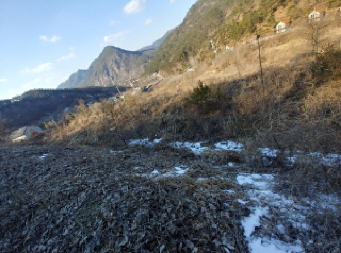 충청남도 금산군 제원면 천내리 196-38 외 12필지 임야 경매 사진 60