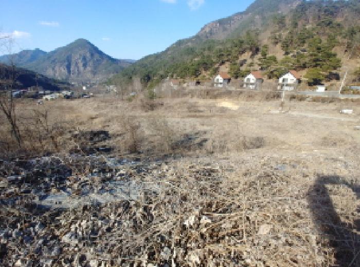 충청남도 금산군 제원면 천내리 196-38 외 12필지 임야 경매 사진 7