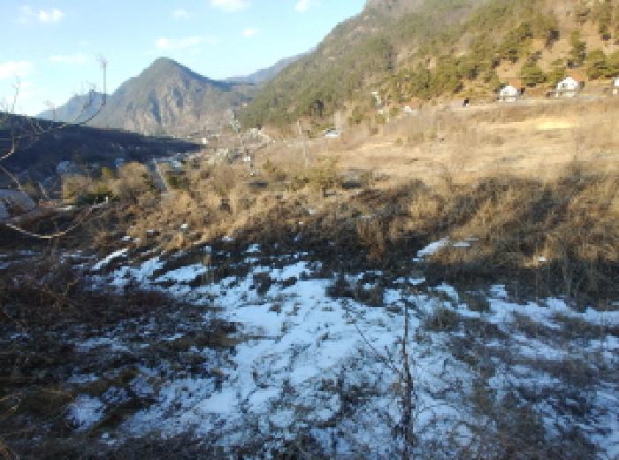 충청남도 금산군 제원면 천내리 196-38 외 12필지 임야 경매 사진 61