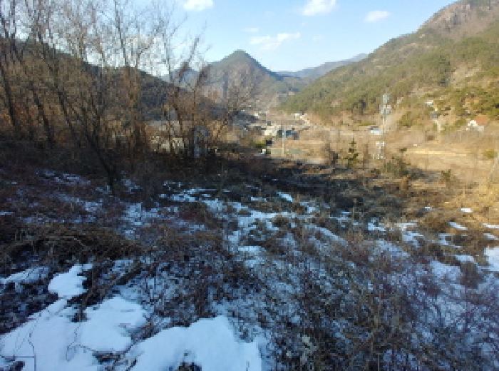충청남도 금산군 제원면 천내리 196-38 외 12필지 임야 경매 사진 65