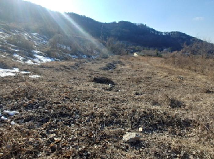 충청남도 금산군 제원면 천내리 196-38 외 12필지 임야 경매 사진 8