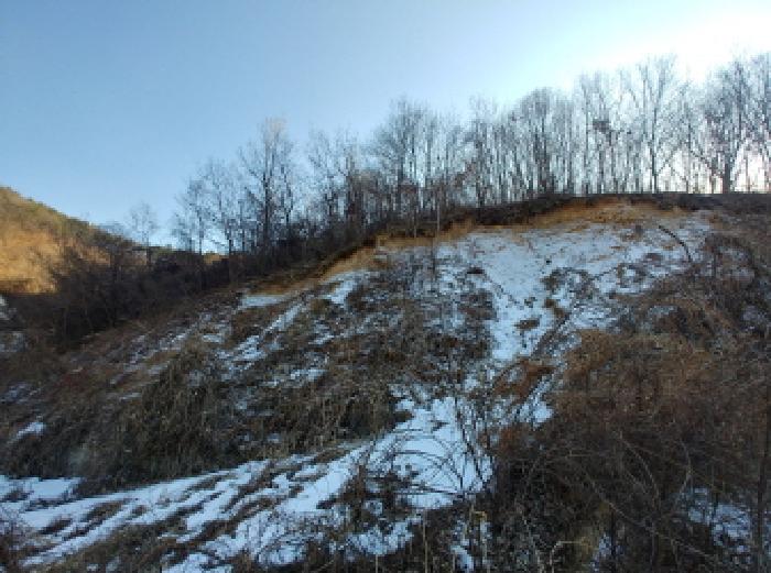 충청남도 금산군 제원면 천내리 196-38 외 12필지 임야 경매 사진 72