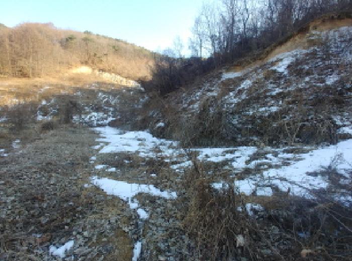 충청남도 금산군 제원면 천내리 196-38 외 12필지 임야 경매 사진 73