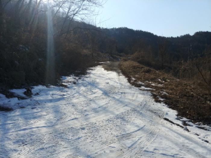 충청남도 금산군 제원면 천내리 196-38 외 12필지 임야 경매 사진 77