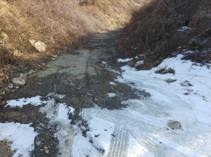 충청남도 금산군 제원면 천내리 196-38 외 12필지 임야 경매 사진 79
