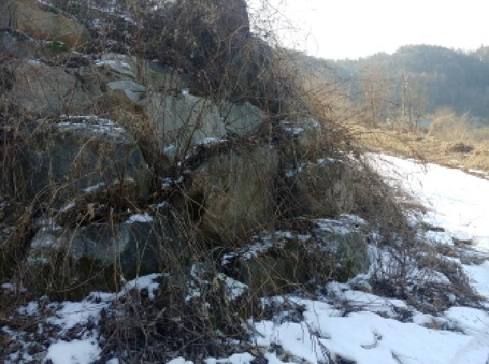 충청남도 금산군 제원면 천내리 196-38 외 12필지 임야 경매 사진 80