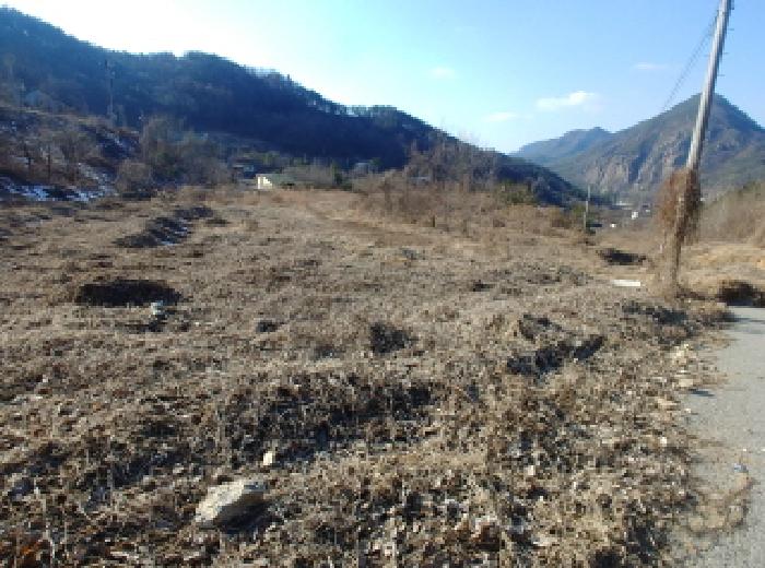 충청남도 금산군 제원면 천내리 196-38 외 12필지 임야 경매 사진 9