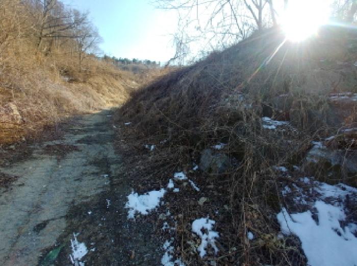 충청남도 금산군 제원면 천내리 196-38 외 12필지 임야 경매 사진 81