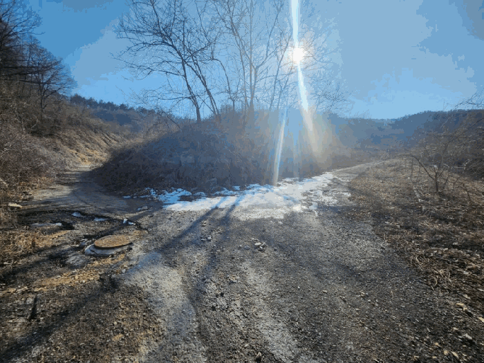 충청남도 금산군 제원면 천내리 196-38 외 12필지 임야 경매 사진 84