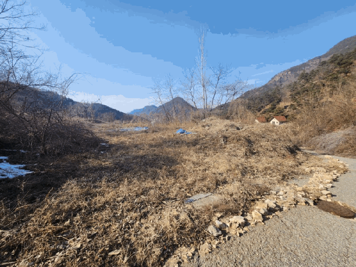 충청남도 금산군 제원면 천내리 196-38 외 12필지 임야 경매 사진 86