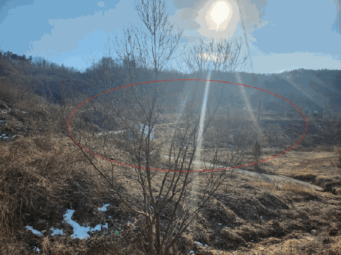 충청남도 금산군 제원면 천내리 196-38 외 12필지 임야 경매 사진 88