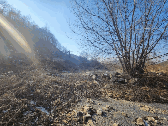 충청남도 금산군 제원면 천내리 196-38 외 12필지 임야 경매 사진 90