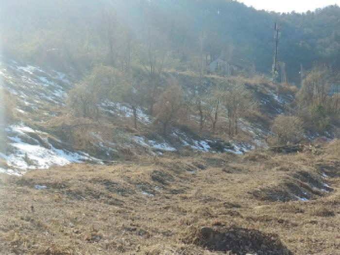 충청남도 금산군 제원면 천내리 196-38 외 12필지 임야 경매 사진 10