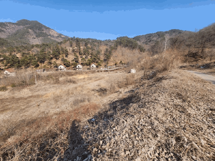 충청남도 금산군 제원면 천내리 196-38 외 12필지 임야 경매 사진 91
