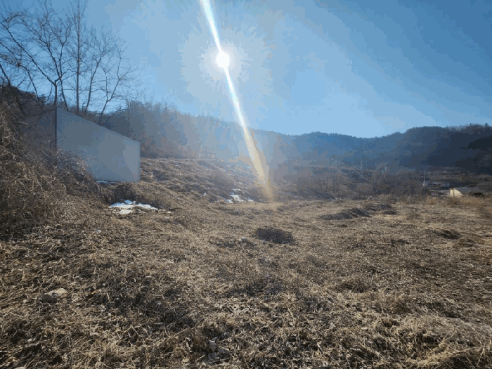 충청남도 금산군 제원면 천내리 196-38 외 12필지 임야 경매 사진 92