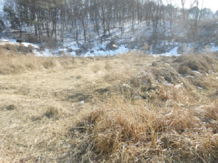 세종특별자치시 전의면 읍내리 324-5 외 3필지 전 경매 사진 1