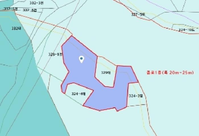 세종특별자치시 전의면 읍내리 324-5 외 3필지 전 경매 사진 12